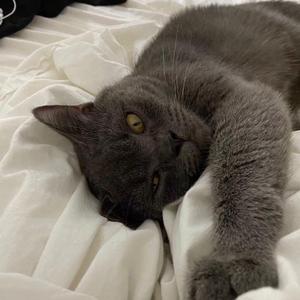 XUFEIH-Cheap Thrills（Original Mix)（XUFEIH remix）