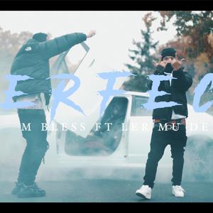 Perfect (feat. LerMuDex)