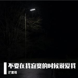 不要在我寂寞的时候说爱我