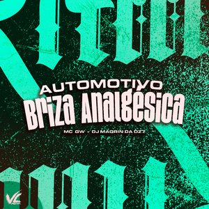 Automotivo Briza Analgesica