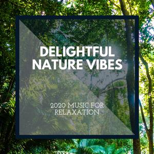 Morning Squirrel Sound