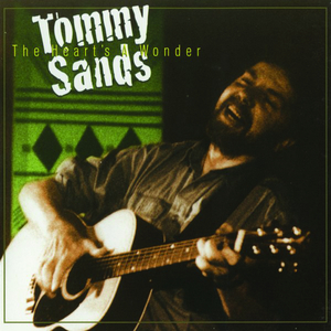 Sailing Through The Sky