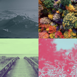 一尘不染积极情绪印象数