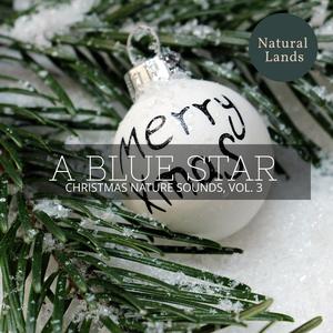 Courteous Black Birds