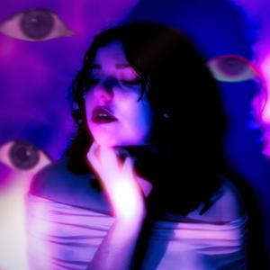 Le Voleur