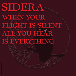 When Your Flight Is Silent, All You Hear Is Everything