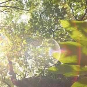 不停相遇 (伴奏)