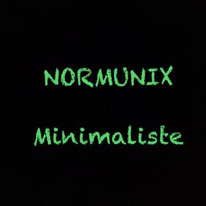 Minimaliste
