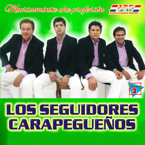 Musicominte che Profesion