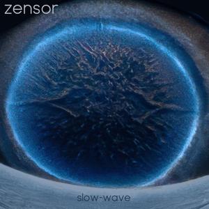 Intracellular Recordings