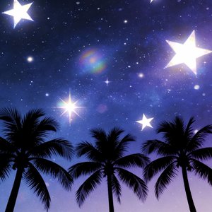 夜