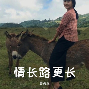 情长路更长