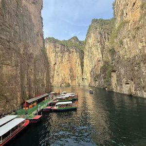 风露