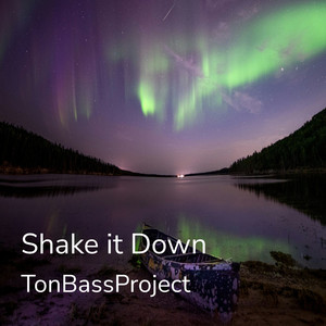 Shake It Down (Original Mix)