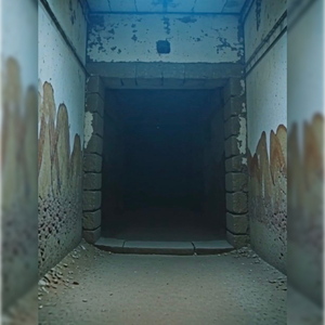 Птср та контузія