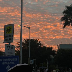 人间何所以，观风与月舒