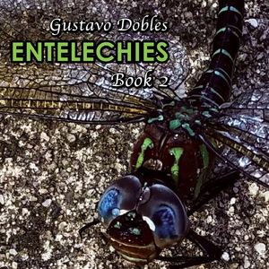 Entelechies Book 2 - 21. Chamber Orchestra