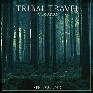Tribal Travel (Original Mix)