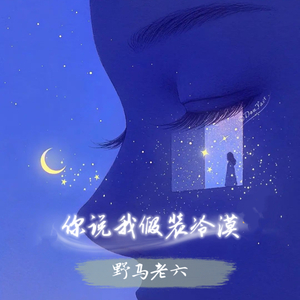 你说我假装冷漠