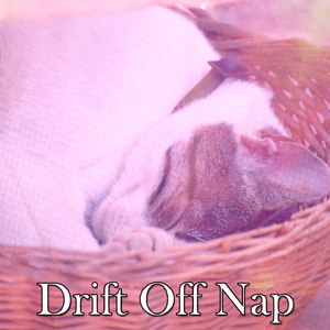 The Old Rocking Chair