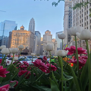 Cartas Nunca Enviadas