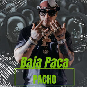 Baja Paca