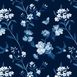 黑夜皎洁的月光