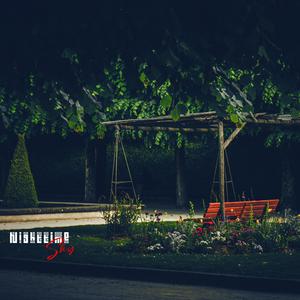 10000 Steps At Night