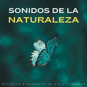 Canción De Cuna En Cascada Para Bebés