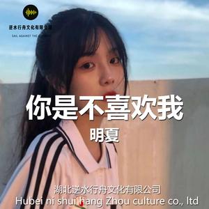 迷失幻境（BGM）