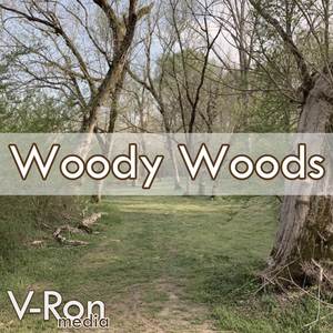 Woody Woods (From "Mario Party 3") (Cover)