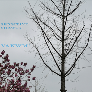 SENSITIVE SHAWTY(prod.dk）