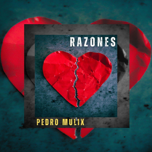 Razones