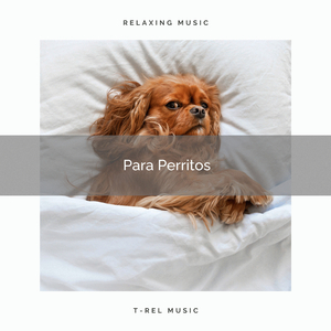 For all the Doggies : Calming Music part 3