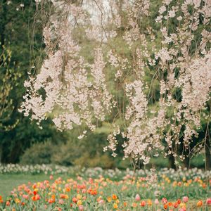 周杰伦“游园会” Type Pop beat