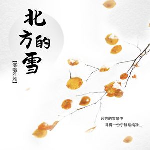 北方的雪
