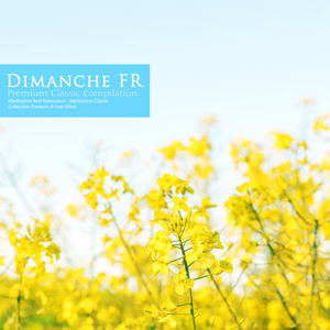 Bach: Cello Concerto In A Major Wq.172 - II. Largo