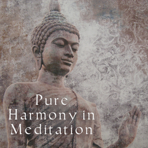 Restaurante Música de Fundo