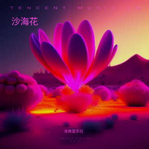 沙海花