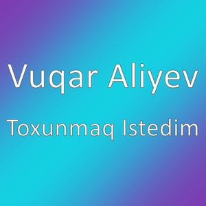 Toxunmaq Istedim