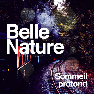 Birds in the Background