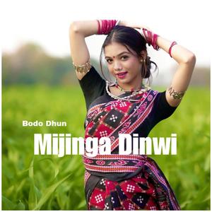 Mijinga Dinwi