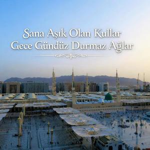 Sana Aşık Olan Kullar Gece Gündüz Durmaz Ağlar