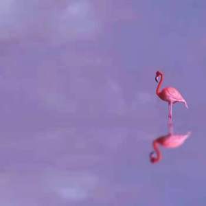 笑意(lnstrumental)