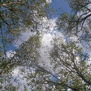 变成陌生人(男声)