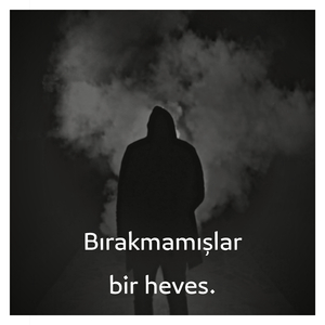 Bırakmamışlar Bir Heves