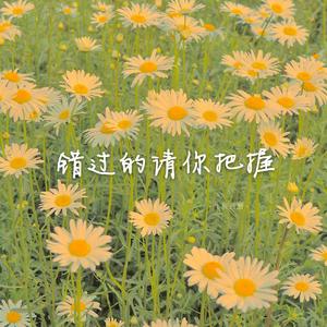 柠檬草的味道（翻自 A-Lin）