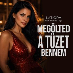 Megölted a tüzet bennem