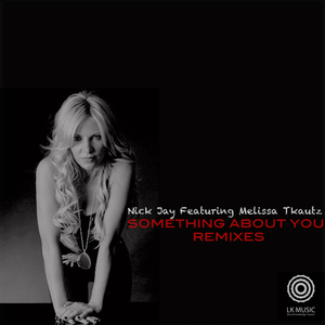 Something About You (Remixes) (Nick Jay & Johan Khoury Remix)