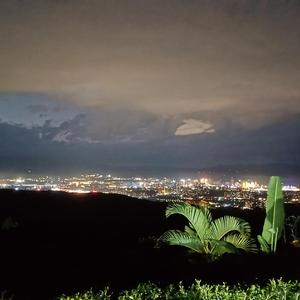 今年的风很大 吹散了很多人